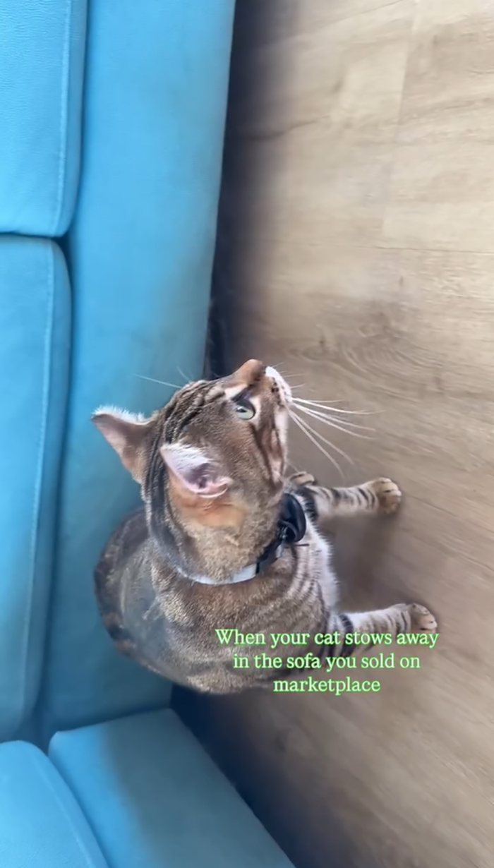 ขายโซฟาออนไลน์ กลายเป็นเรื่องสุดพีค ขายโซฟาออนไลน์ กลายเป็นเรื่องสุดพีค