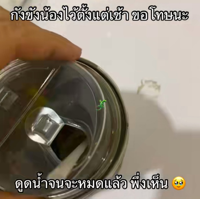 ดูดเครื่องดื่มไปจนหมดเพิ่งเห็นอะไรก้นแก้ว ดูดเครื่องดื่มไปจนหมดเพิ่งเห็นอะไรก้นแก้ว