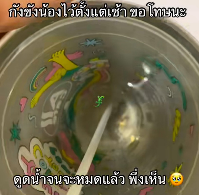 ดูดเครื่องดื่มไปจนหมดเพิ่งเห็นอะไรก้นแก้ว ดูดเครื่องดื่มไปจนหมดเพิ่งเห็นอะไรก้นแก้ว