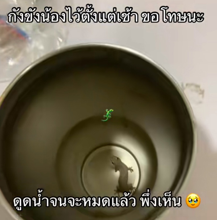 ดูดเครื่องดื่มไปจนหมดเพิ่งเห็นอะไรก้นแก้ว ดูดเครื่องดื่มไปจนหมดเพิ่งเห็นอะไรก้นแก้ว
