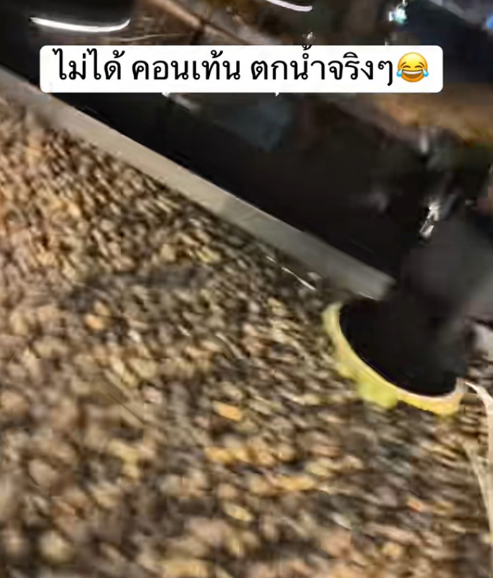 ไวรัล 1 2 ล้าน เดินในรีสอร์ต บอกว่าตกน้ำ ไวรัล 1 2 ล้าน เดินในรีสอร์ต บอกว่าตกน้ำ