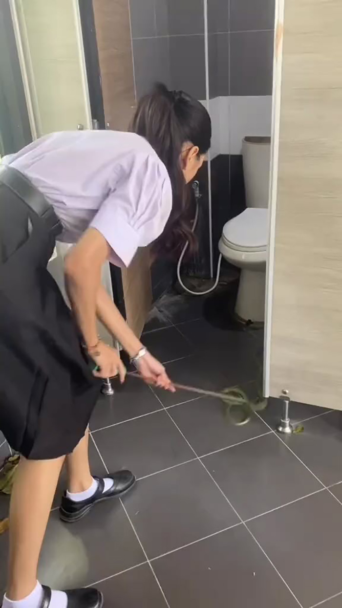 ไวรัลฮีโร่จับงูในโรงเรียน ผู้ชายเจอยังแทบวิ่ง ไวรัลฮีโร่จับงูในโรงเรียน ผู้ชายเจอยังแทบวิ่ง