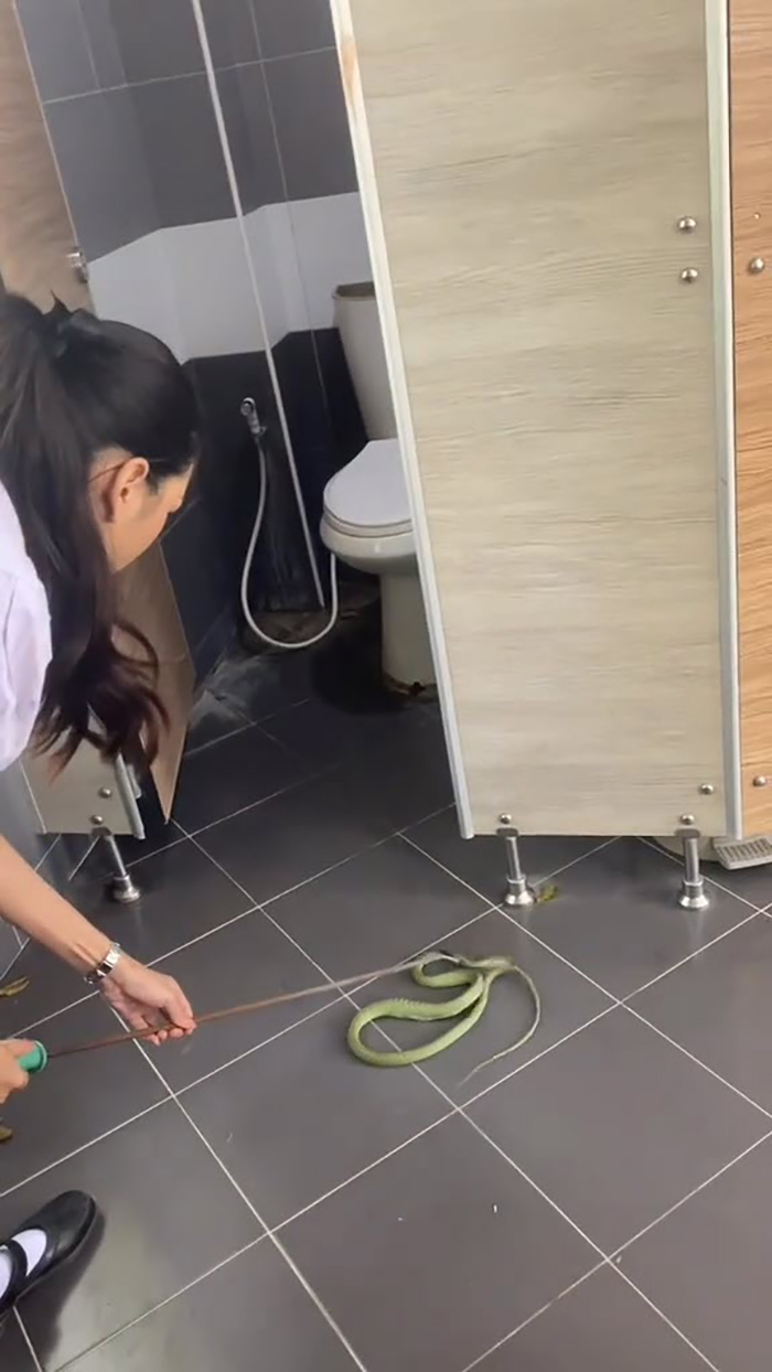 ไวรัลฮีโร่จับงูในโรงเรียน ผู้ชายเจอยังแทบวิ่ง ไวรัลฮีโร่จับงูในโรงเรียน ผู้ชายเจอยังแทบวิ่ง