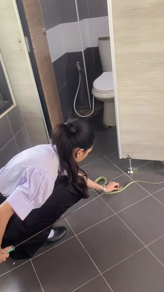 ไวรัลฮีโร่จับงูในโรงเรียน ผู้ชายเจอยังแทบวิ่ง ไวรัลฮีโร่จับงูในโรงเรียน ผู้ชายเจอยังแทบวิ่ง