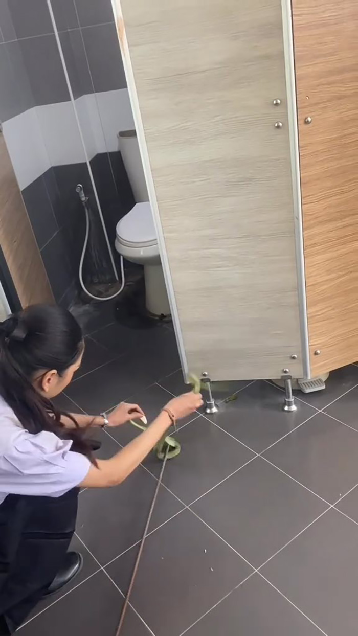 ไวรัลฮีโร่จับงูในโรงเรียน ผู้ชายเจอยังแทบวิ่ง ไวรัลฮีโร่จับงูในโรงเรียน ผู้ชายเจอยังแทบวิ่ง