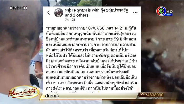 ชายหาหน่อไม้ในป่า กลับมาป่วยประหลาด ชายหาหน่อไม้ในป่า กลับมาป่วยประหลาด