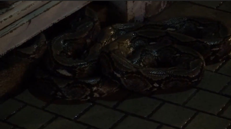 ชลบุรีอ่วมหนัก ชลบุรีอ่วมหนัก