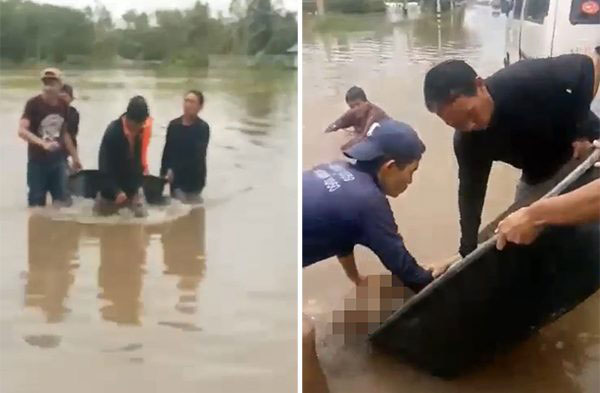 บิ๊กตู่ บิ๊กตู่