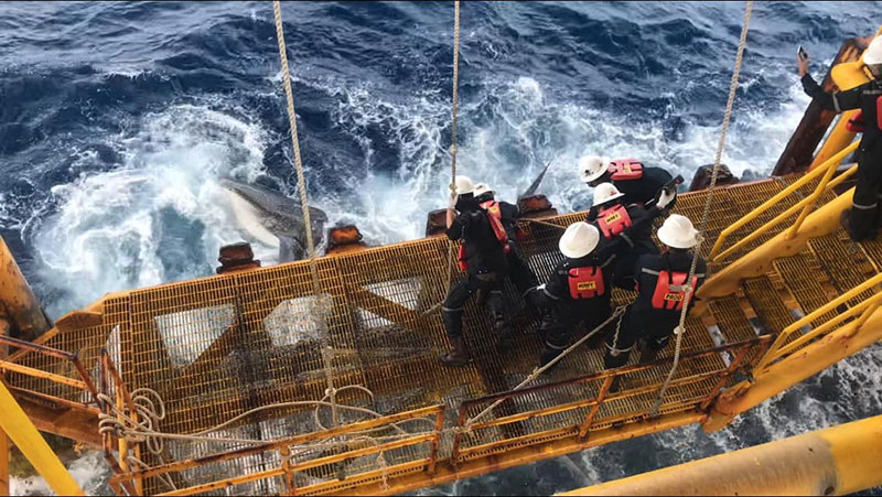 นาทีชีวิต จนท. แท่นขุดเจาะน้ำมัน นาทีชีวิต จนท. แท่นขุดเจาะน้ำมัน