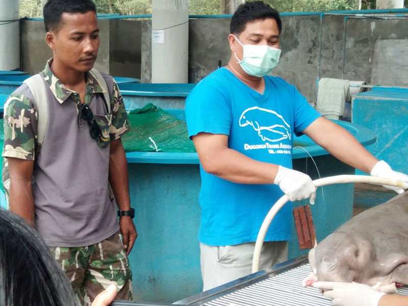 น้องมาเรียม น้องมาเรียม