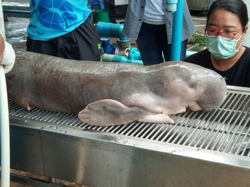 น้องมาเรียม น้องมาเรียม