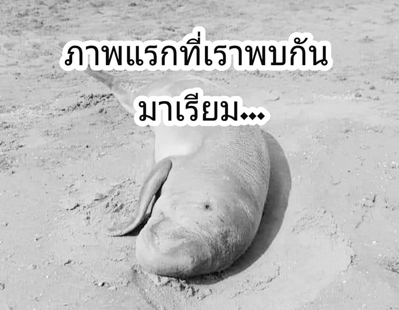 น้องมาเรียม น้องมาเรียม