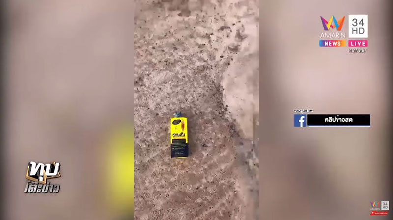 ร็อตไวเลอร์ ร็อตไวเลอร์