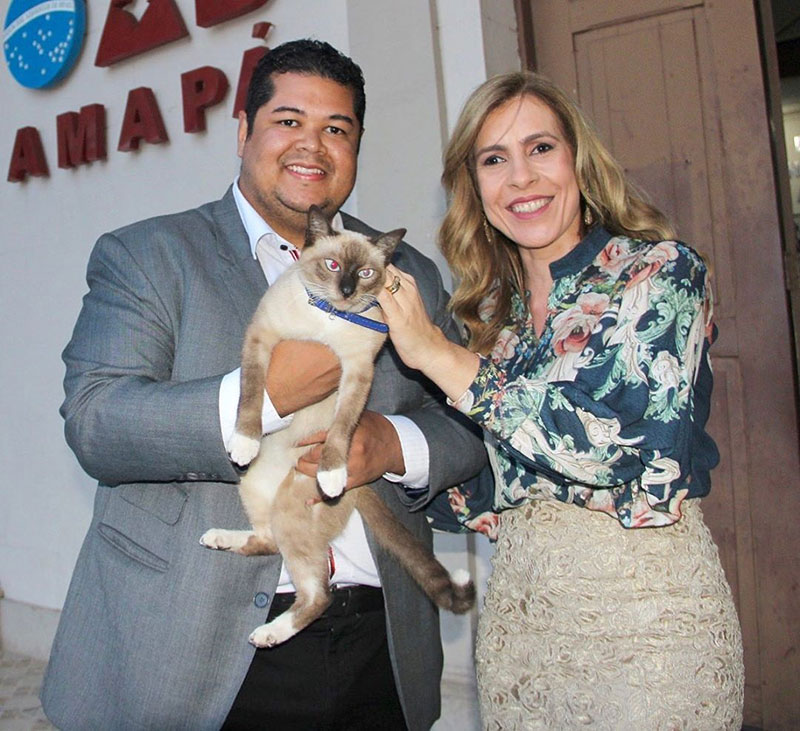 ลูกแมวจรจัด ลูกแมวจรจัด