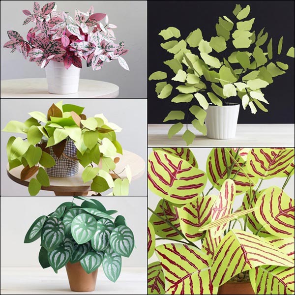 ต้นไม้กระดาษ ต้นไม้กระดาษ