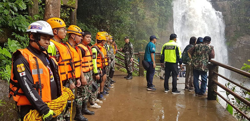 ช้างป่า ช้างป่า