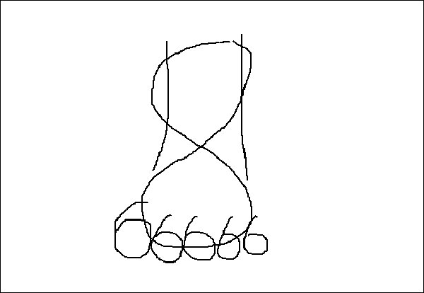 วาดรูปเท้า วาดรูปเท้า