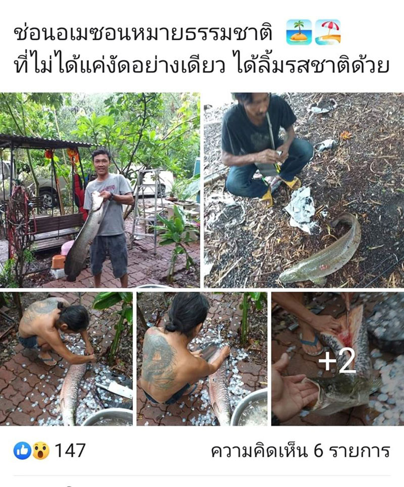 เพจดังรณรงค์ เพจดังรณรงค์