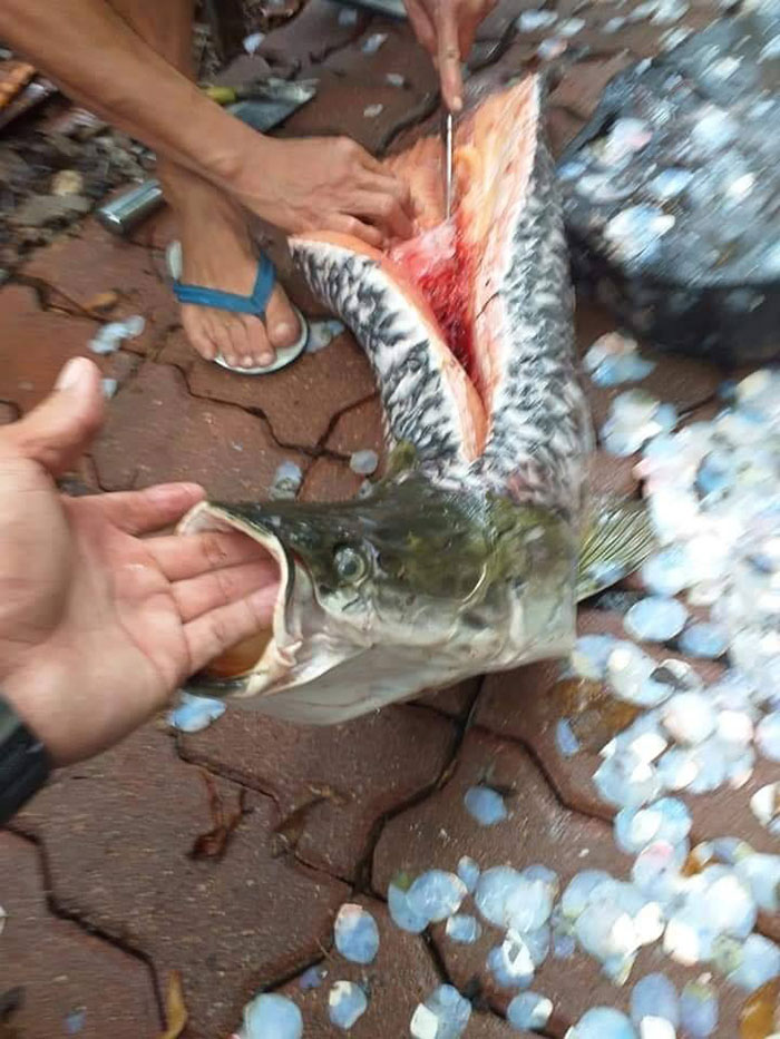 เพจดังรณรงค์ เพจดังรณรงค์