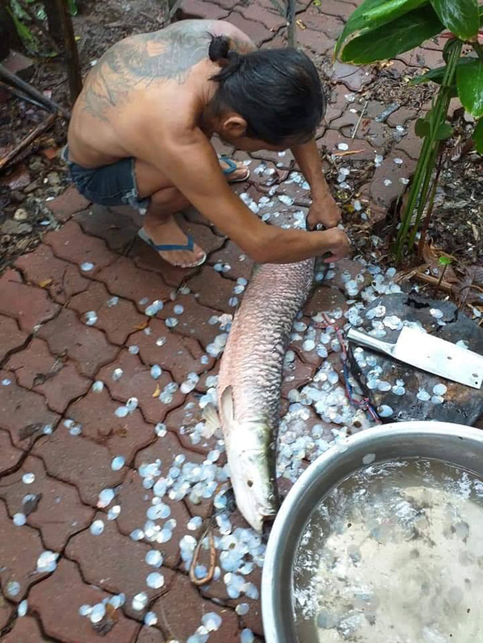 เพจดังรณรงค์ เพจดังรณรงค์