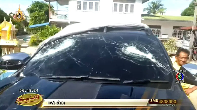 ล่าแก๊งโหด ล่าแก๊งโหด