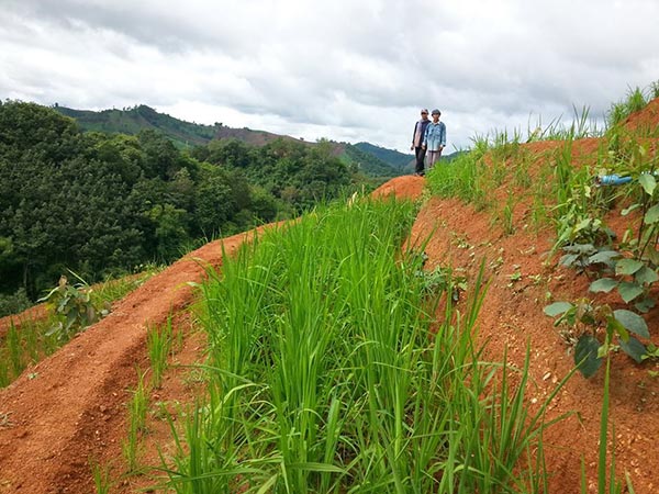 ภูเขาหัวโล้น ภูเขาหัวโล้น