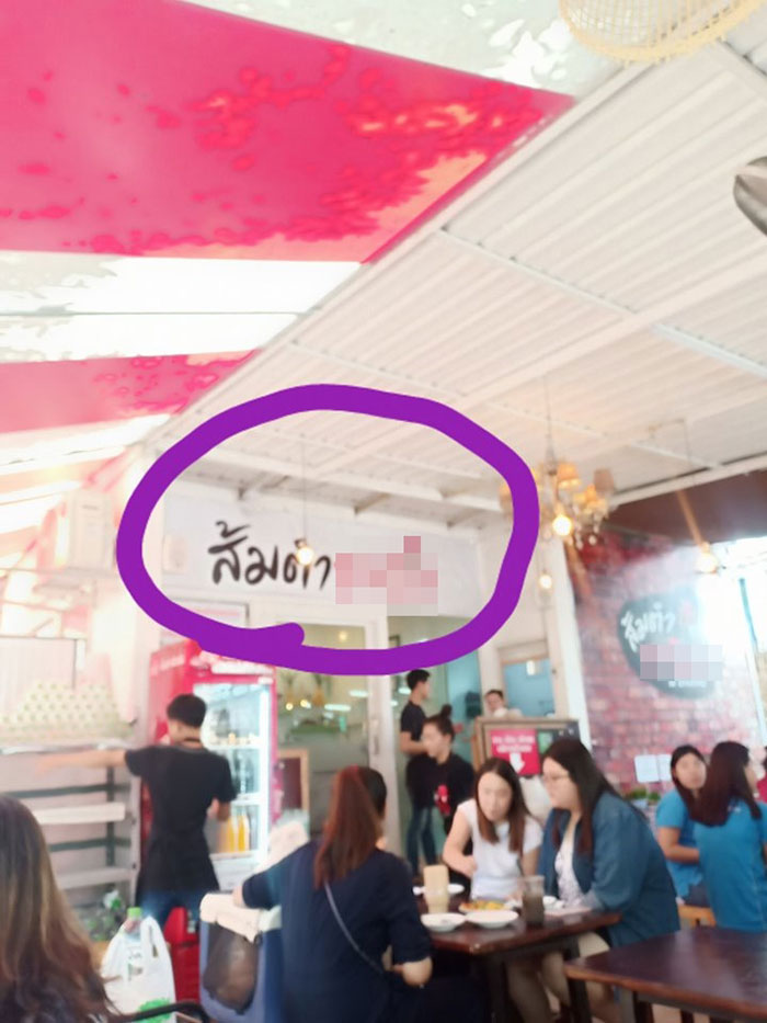 กิ้งกือ กิ้งกือ