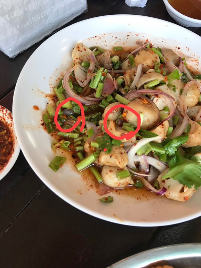 กิ้งกือ กิ้งกือ