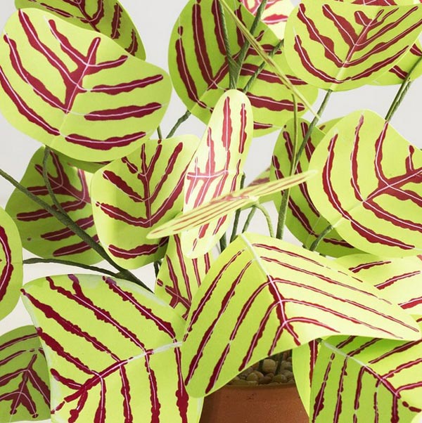 ต้นไม้กระดาษ ต้นไม้กระดาษ