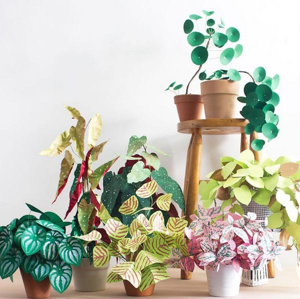 ต้นไม้กระดาษ ต้นไม้กระดาษ