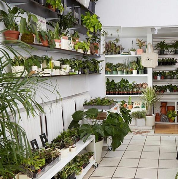 ต้นไม้กระดาษ ต้นไม้กระดาษ