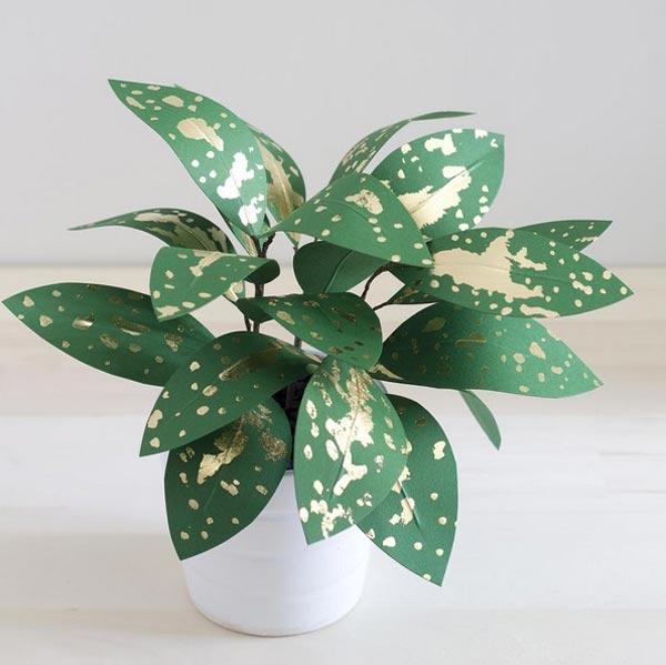 ต้นไม้กระดาษ ต้นไม้กระดาษ