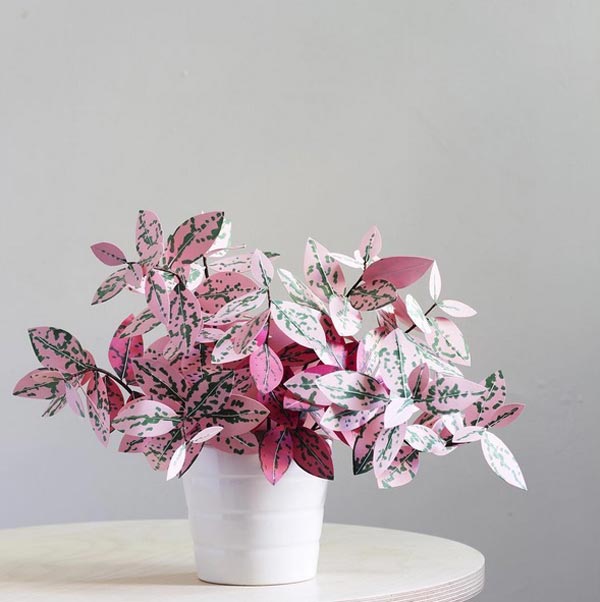 ต้นไม้กระดาษ ต้นไม้กระดาษ