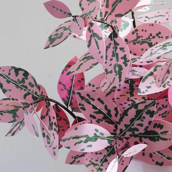 ต้นไม้กระดาษ ต้นไม้กระดาษ