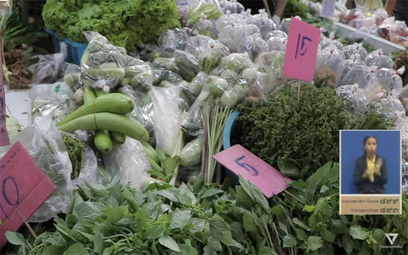 ทิม พิธา ทิม พิธา