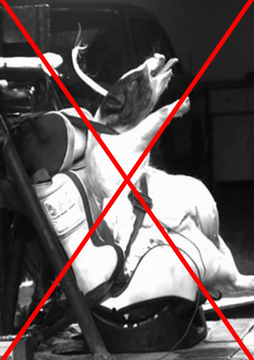 นักวิทย์ฯ จีน นักวิทย์ฯ จีน