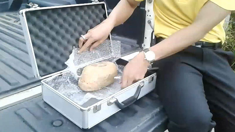 หนุ่มเก็บอ้วกวาฬ หนุ่มเก็บอ้วกวาฬ