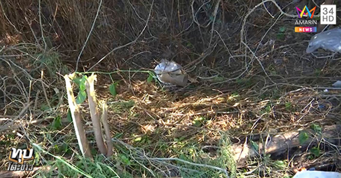 หนุ่มฆ่าสาว หนุ่มฆ่าสาว