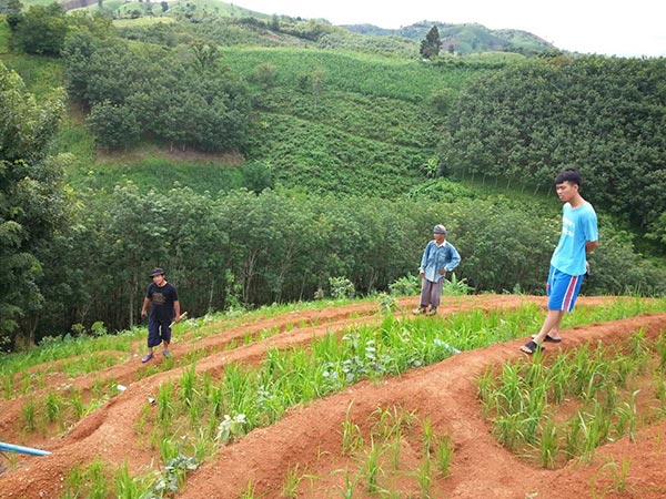 ภูเขาหัวโล้น ภูเขาหัวโล้น
