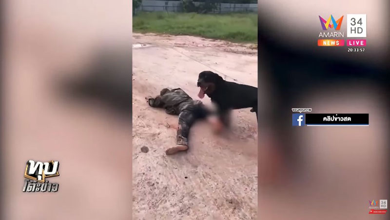 ร็อตไวเลอร์ ร็อตไวเลอร์