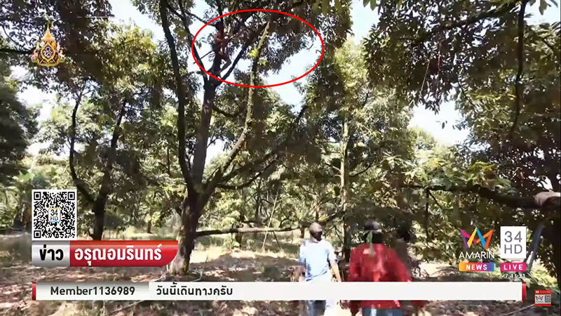 ม.2 รับจ๊อบ ม.2 รับจ๊อบ