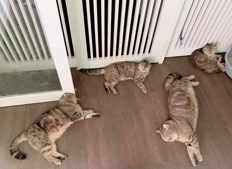 มาร์ค อภิสิทธิ์ มาร์ค อภิสิทธิ์