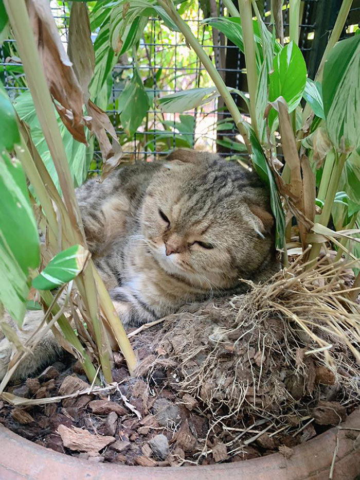 มาร์ค อภิสิทธิ์ มาร์ค อภิสิทธิ์