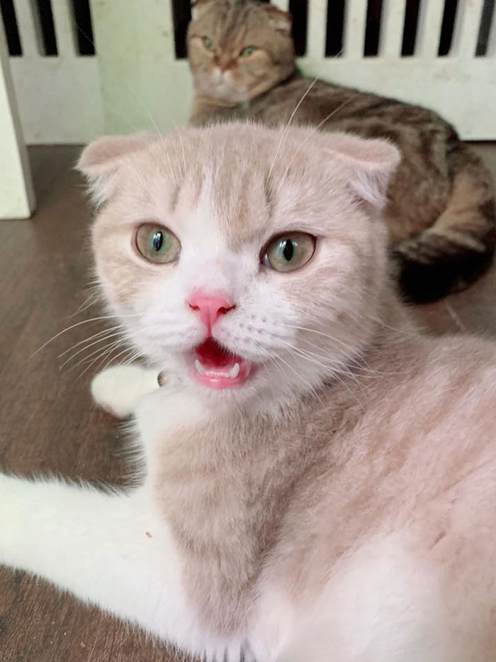 มาร์ค อภิสิทธิ์ มาร์ค อภิสิทธิ์