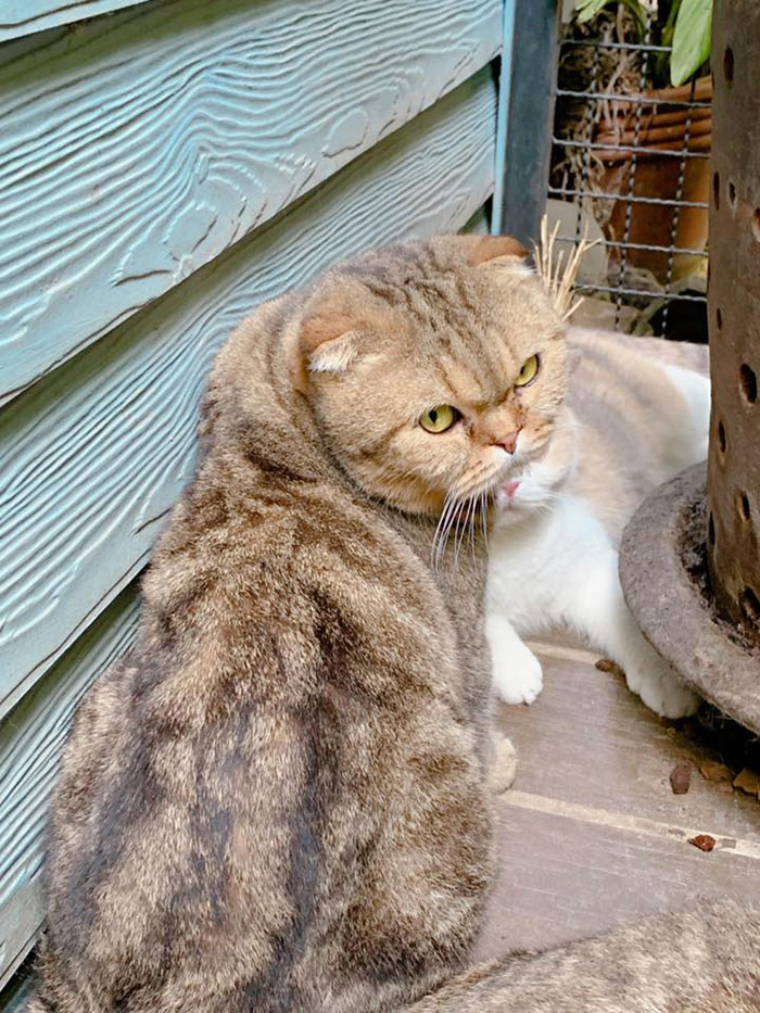 มาร์ค อภิสิทธิ์ มาร์ค อภิสิทธิ์