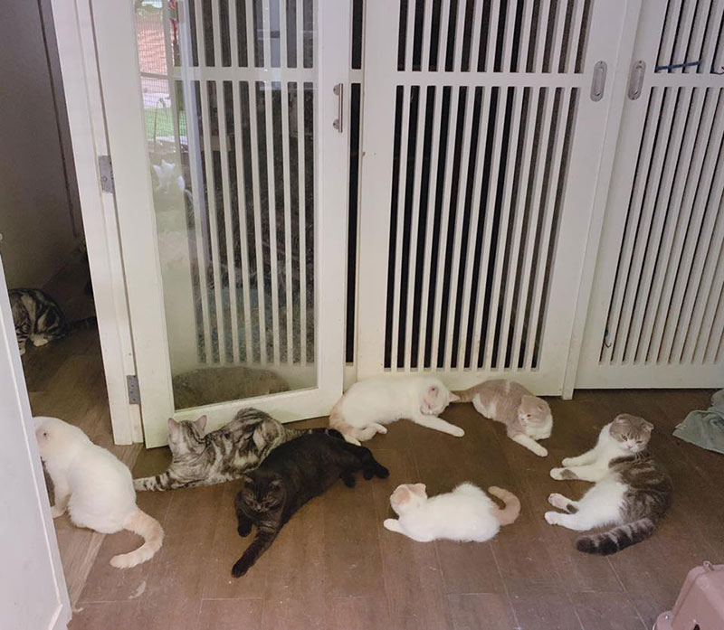 มาร์ค อภิสิทธิ์ มาร์ค อภิสิทธิ์