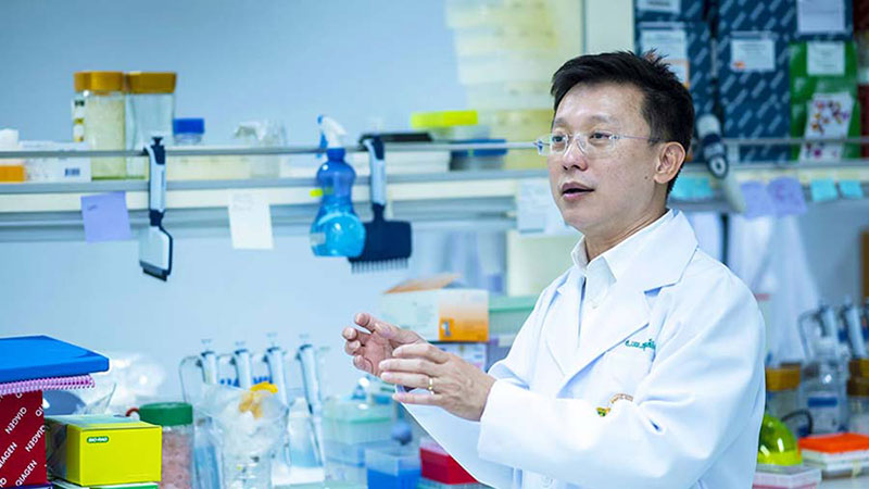 หมอไทย หมอไทย