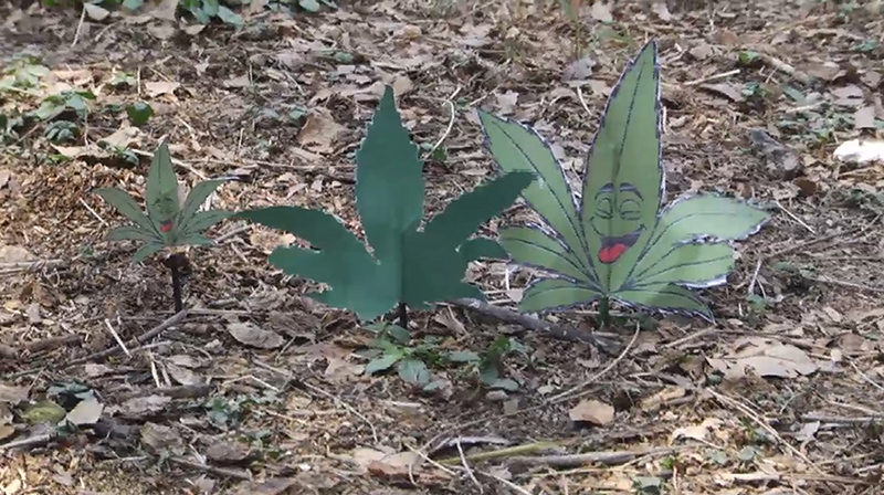 อ.ซ้ง อ.ซ้ง