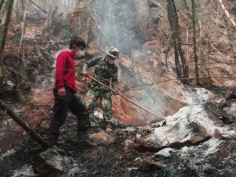 ไฟป่าดอยหลวงเชียงดาว ไฟป่าดอยหลวงเชียงดาว