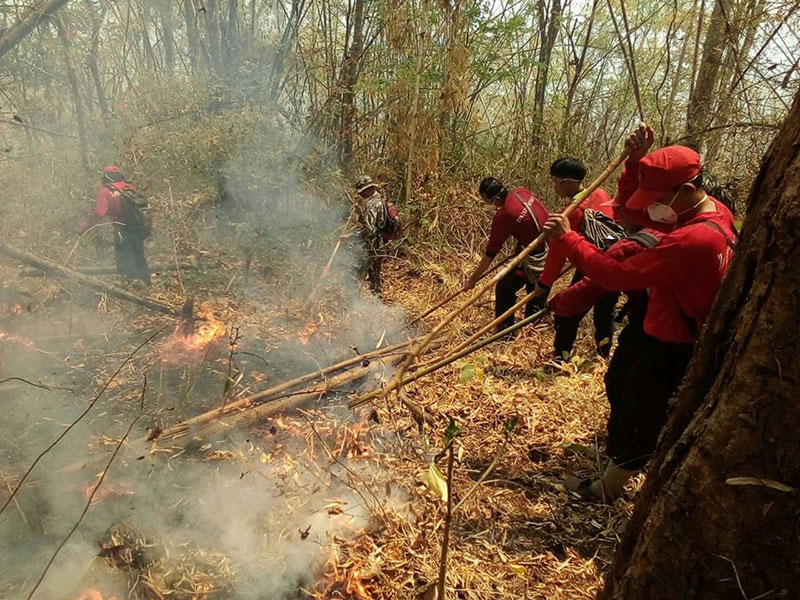 ไฟป่าดอยหลวงเชียงดาว ไฟป่าดอยหลวงเชียงดาว